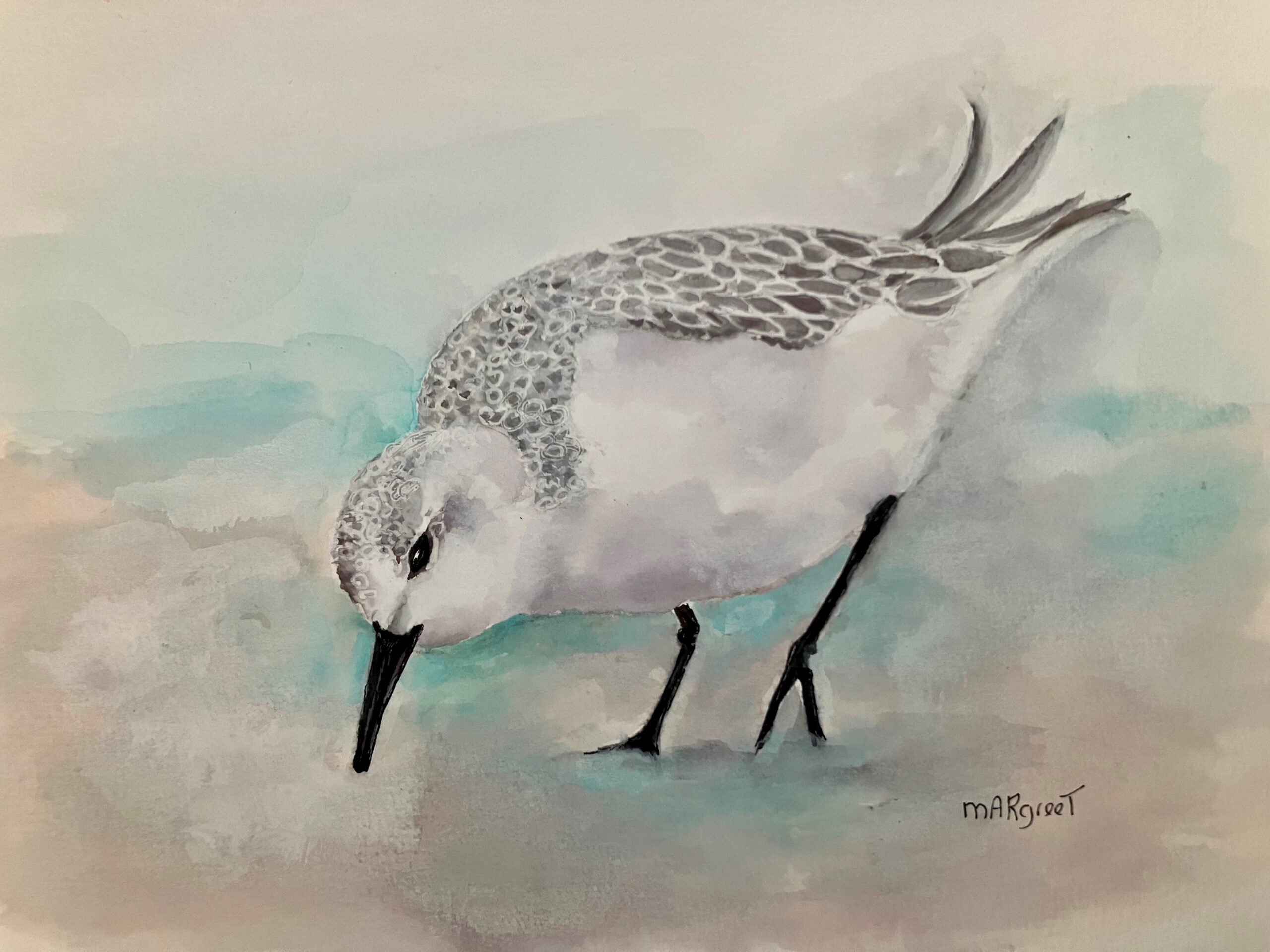 Foeragerende Drieteen strandloper op het strand van Texel.