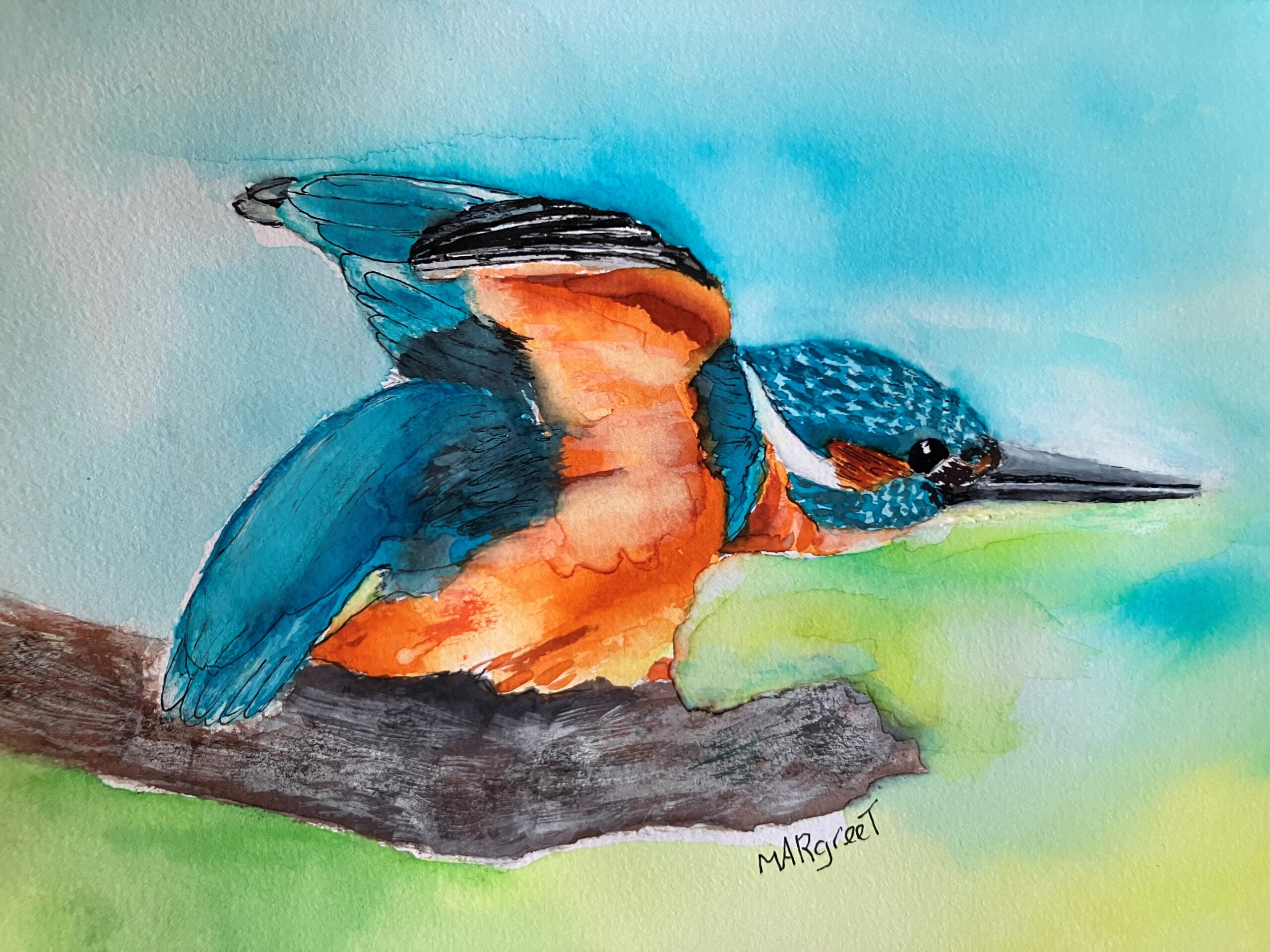 IJsvogel gefotografeerd bij de kijkwand langs de Poldervaart in Schiedam.