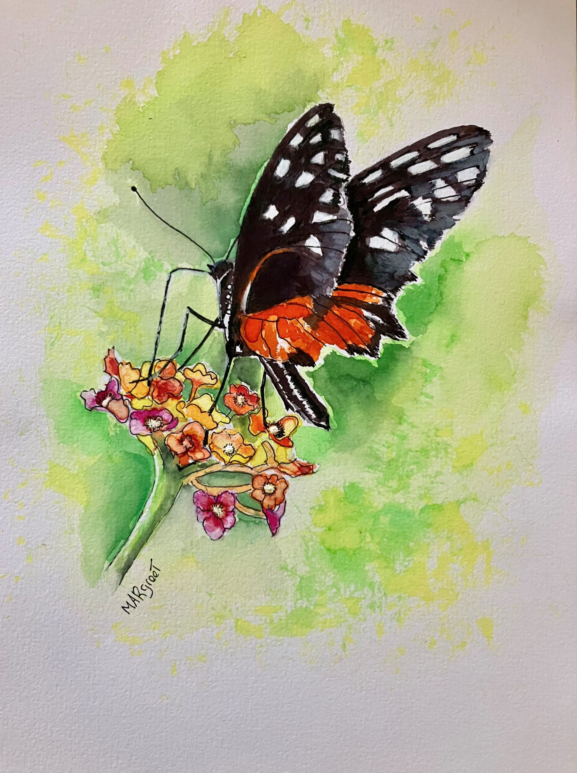 Heliconius Ismenius in Amazonica in Diergaarde Blijdorp.