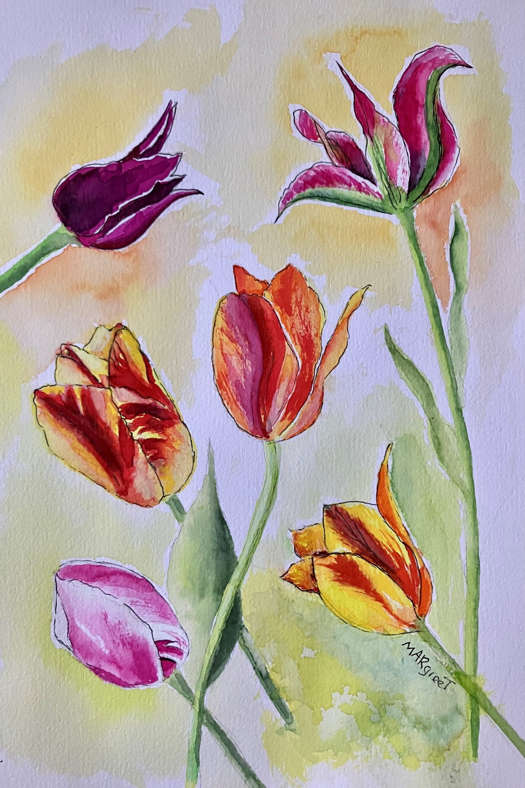 Tulpen gefotografeerd in de Maastuin nabij de Maasboulevard in Schiedam.