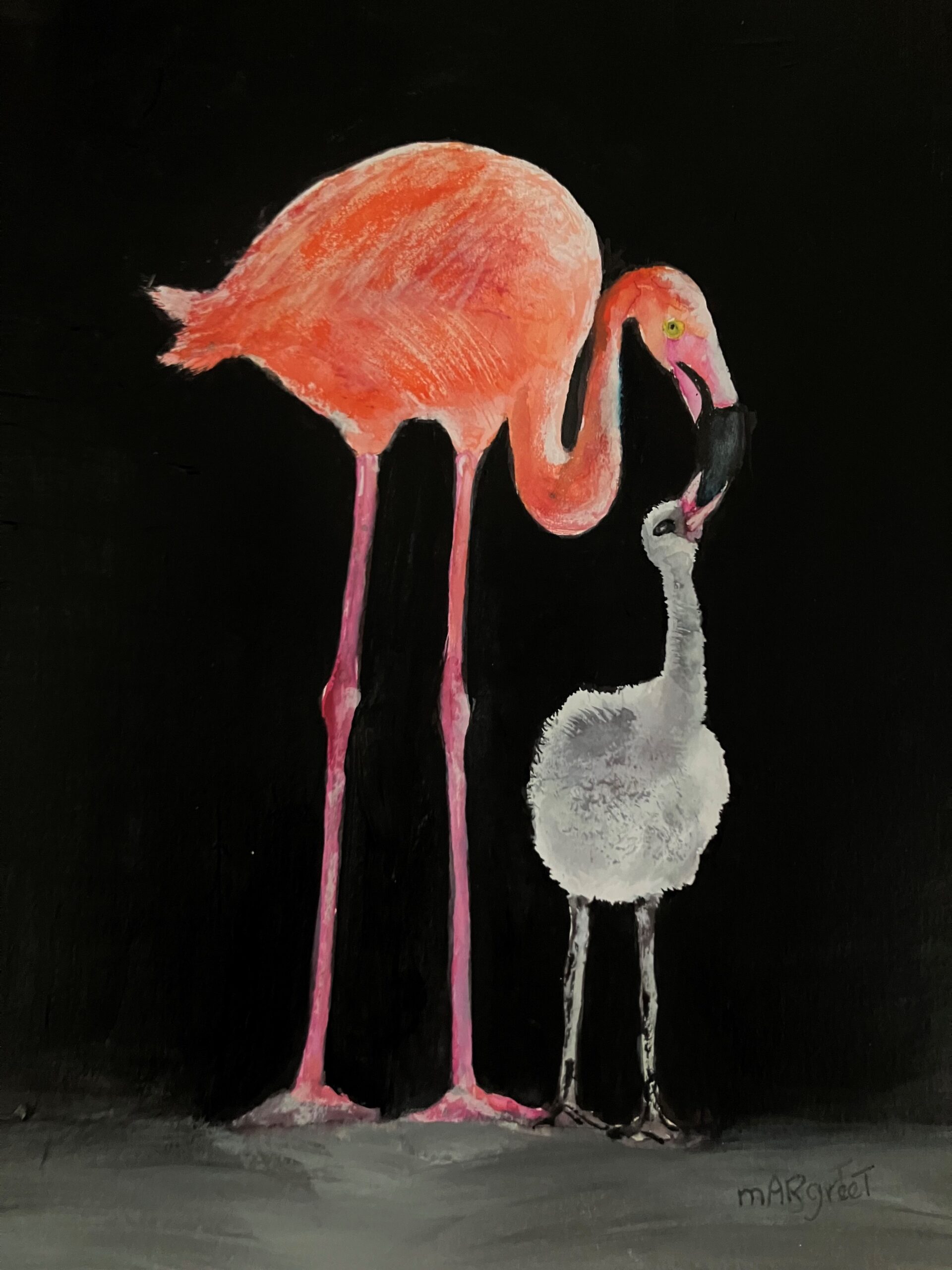 Flamingo jong wordt gevoerd (Diergaarde Blijdorp).