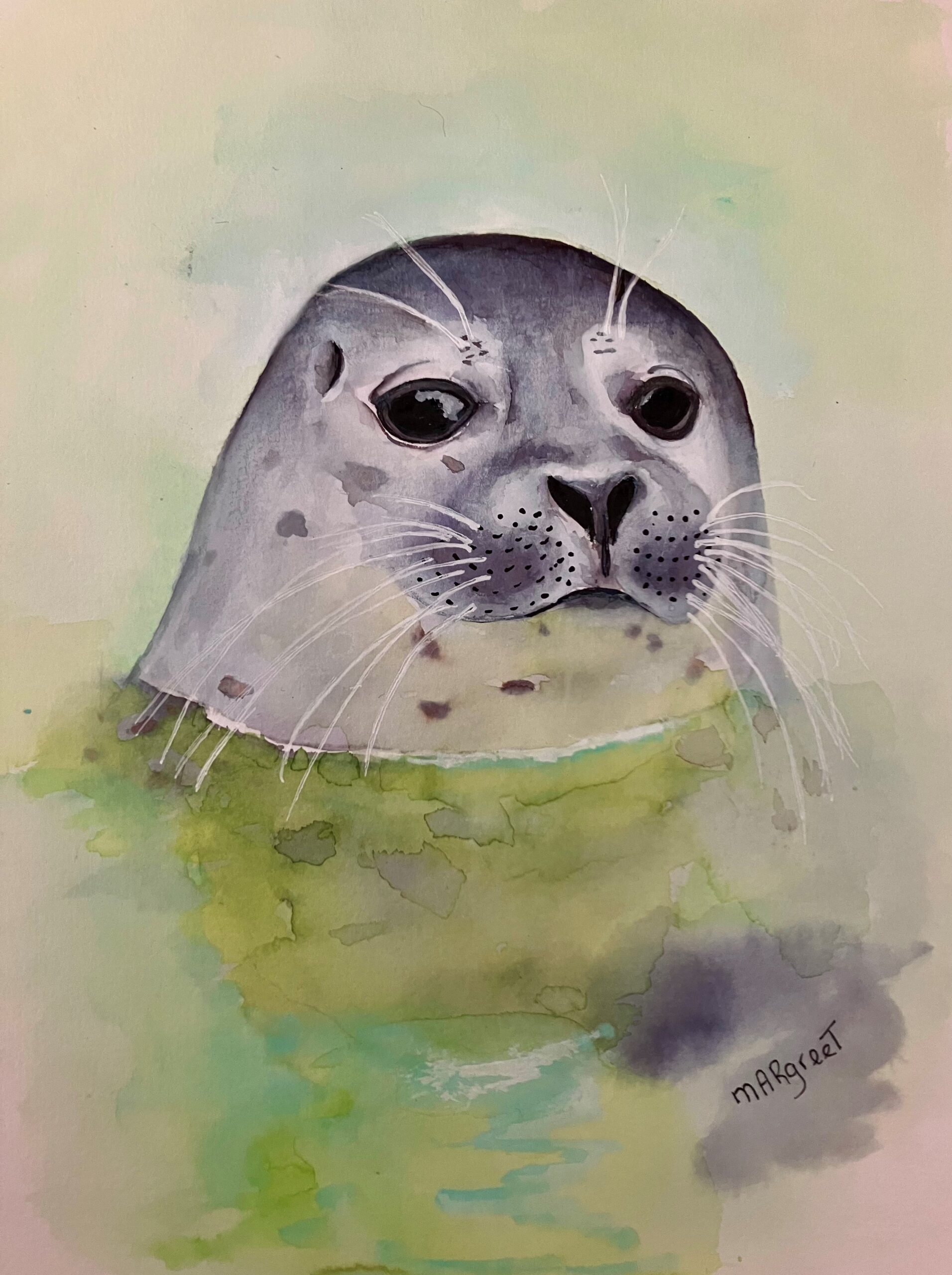 Zeehondenpup in Ecomare (Texel).
