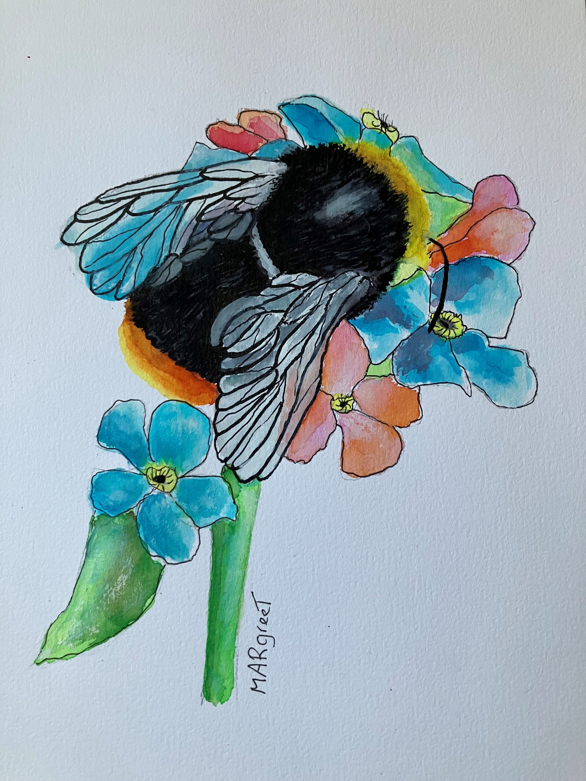 Hommel gefotografeerd in Volkstuinders Vereniging Vijfsluizen in Schiedam.