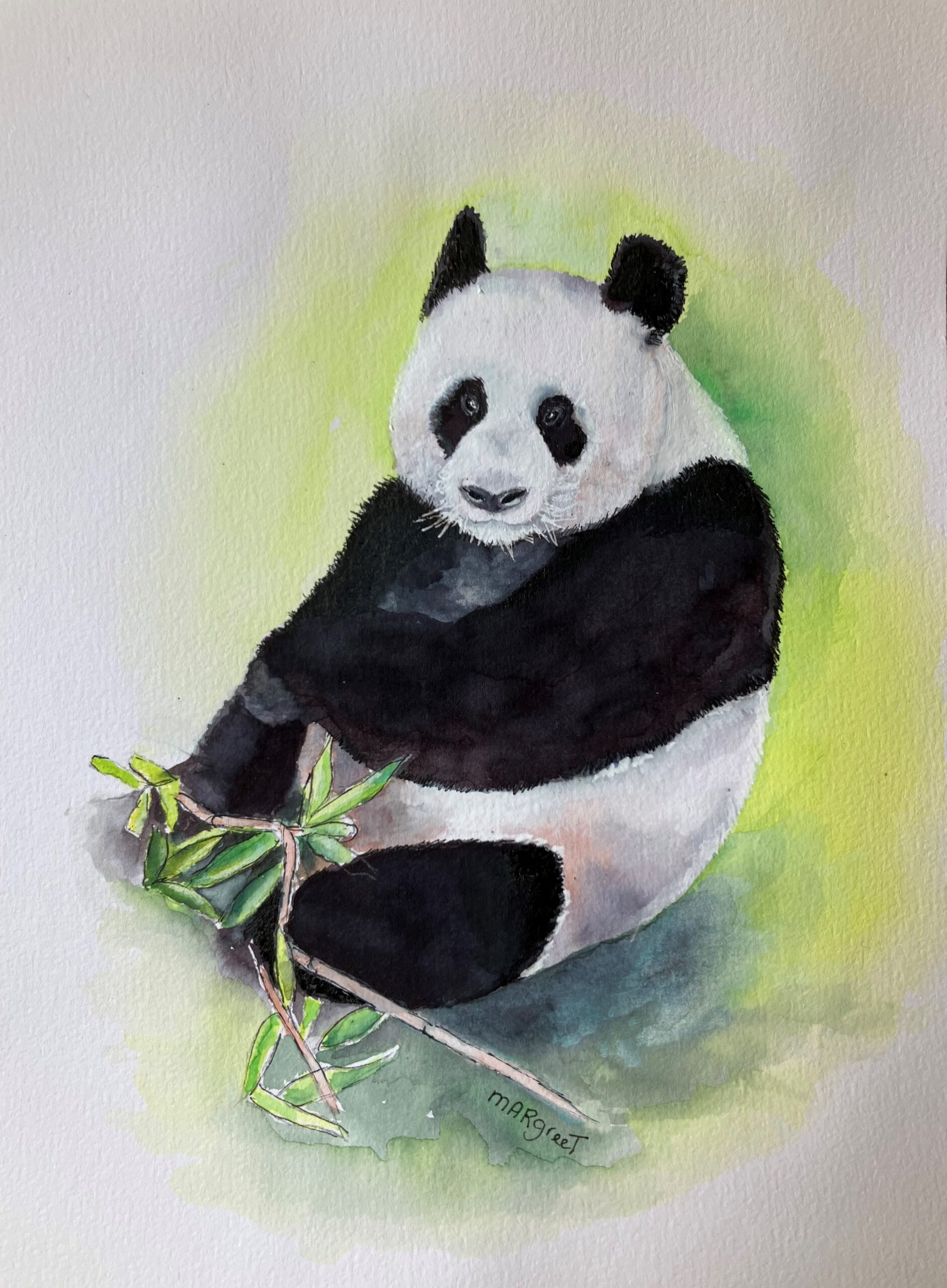 Reuzenpanda in Ouwehands Dierenpark.